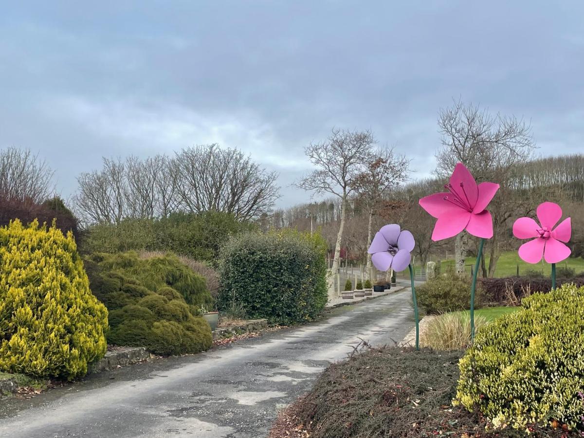 Glendine Country House Wexford Arthurstown Exterior foto